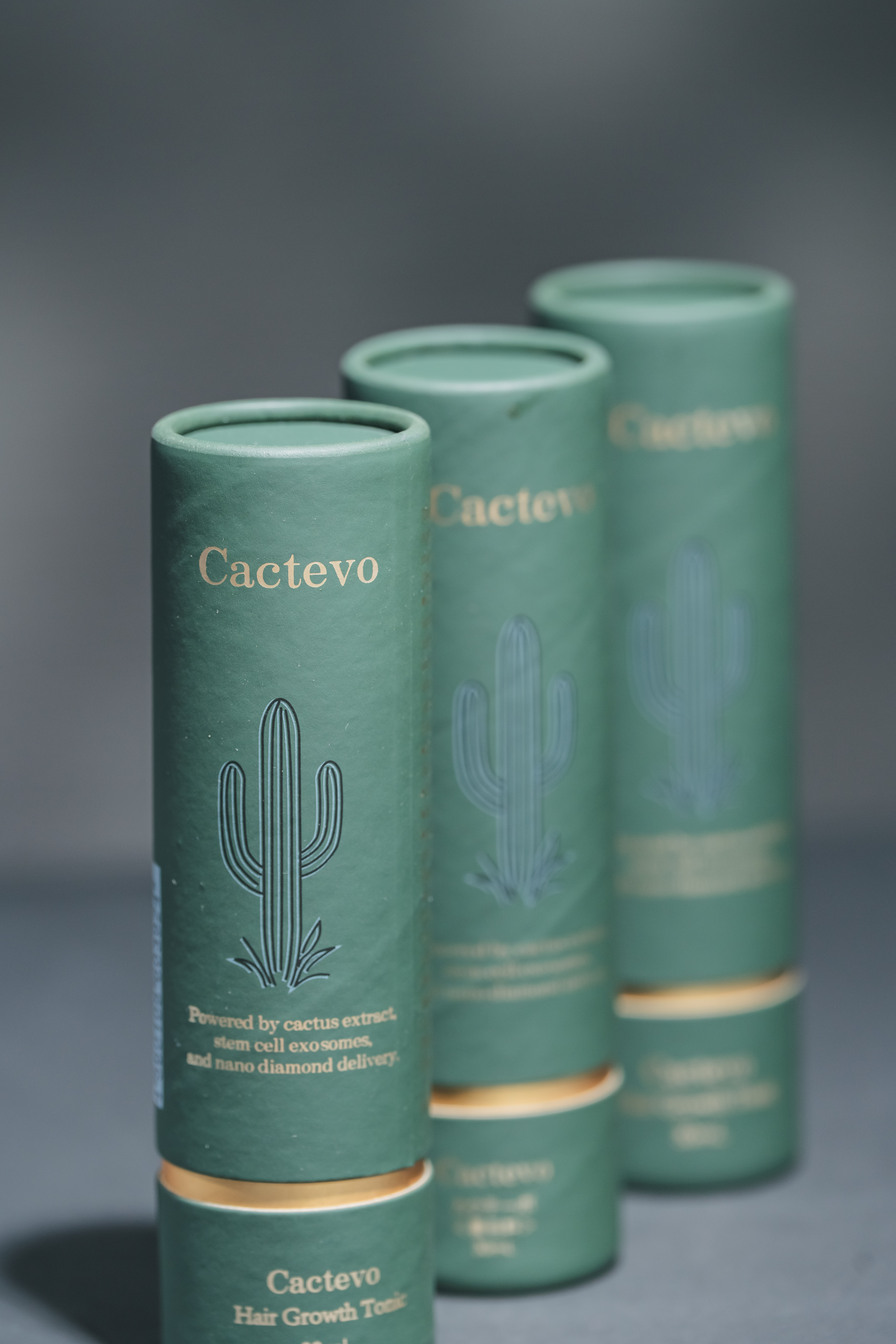 Cactevo 養毛料 ケース